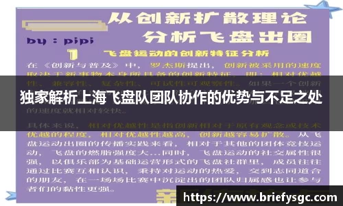 独家解析上海飞盘队团队协作的优势与不足之处